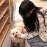 像素钢铁侠游戏下载